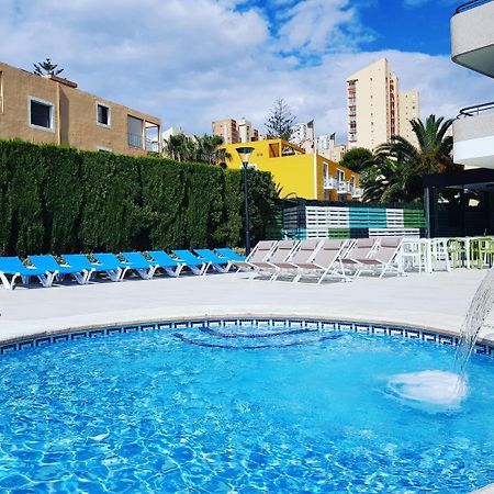 Primavera Loix Benidorm Dış mekan fotoğraf